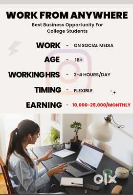 WORK FROM HOME (ONLINE BRAND PROMOTION)