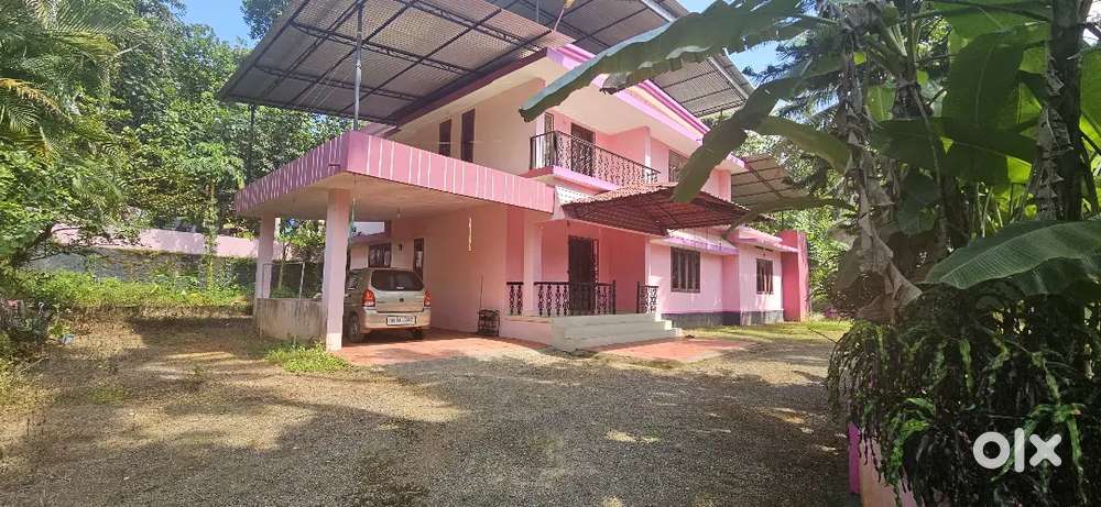 Aranmula NaalKaalikal Near 33 Cent House.