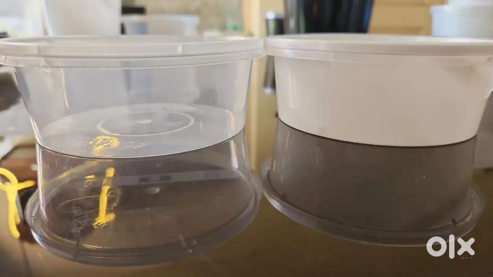 Need a person for back office work having basic knowledge of computer