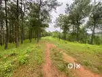 Selling my land