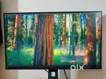 BenQ Mobius 25 inch