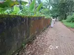 20 cent land for sale near Aluva kuttamassery