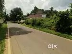 Kothamangalam thrikkariyoor
