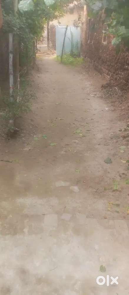 Mera 16 katha jameen bikri ka hai