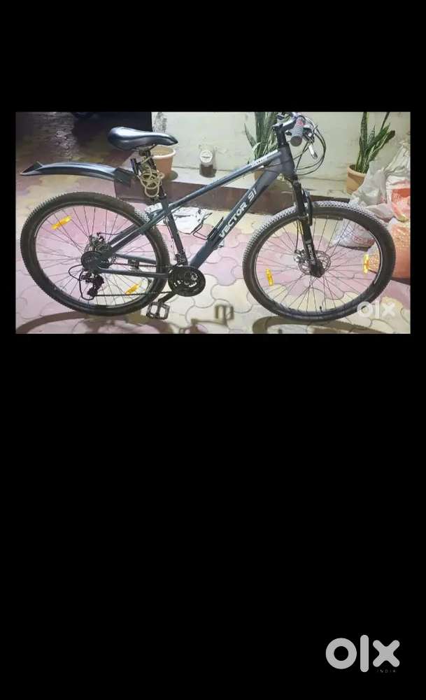 Geared Bicycle 29T Vector 91