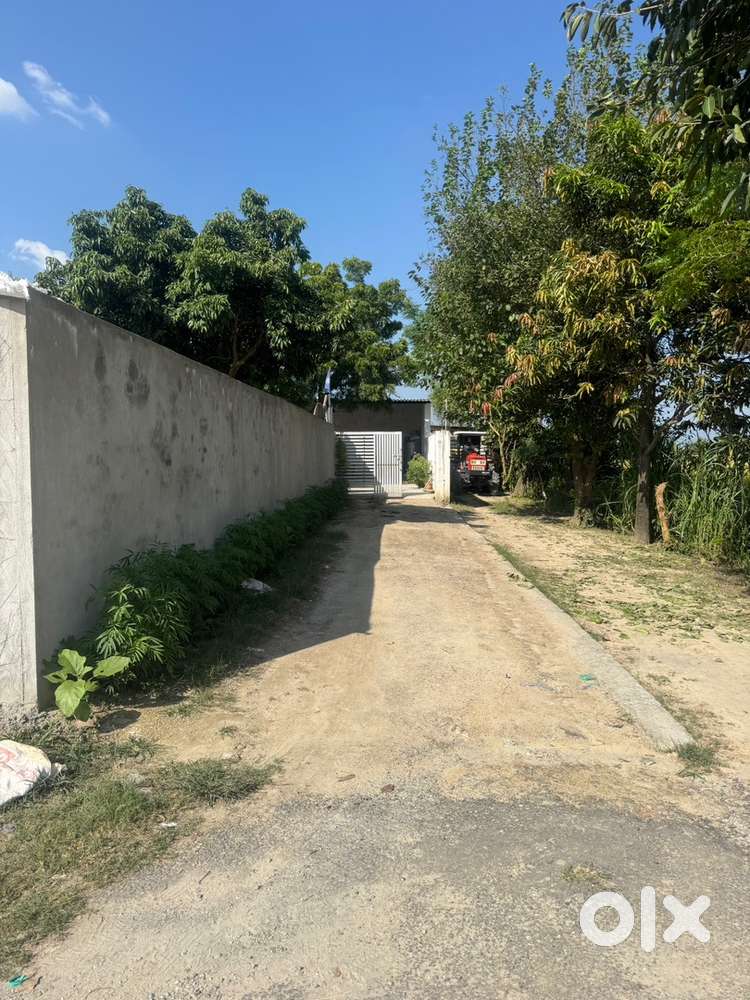 10 feet road from road to home