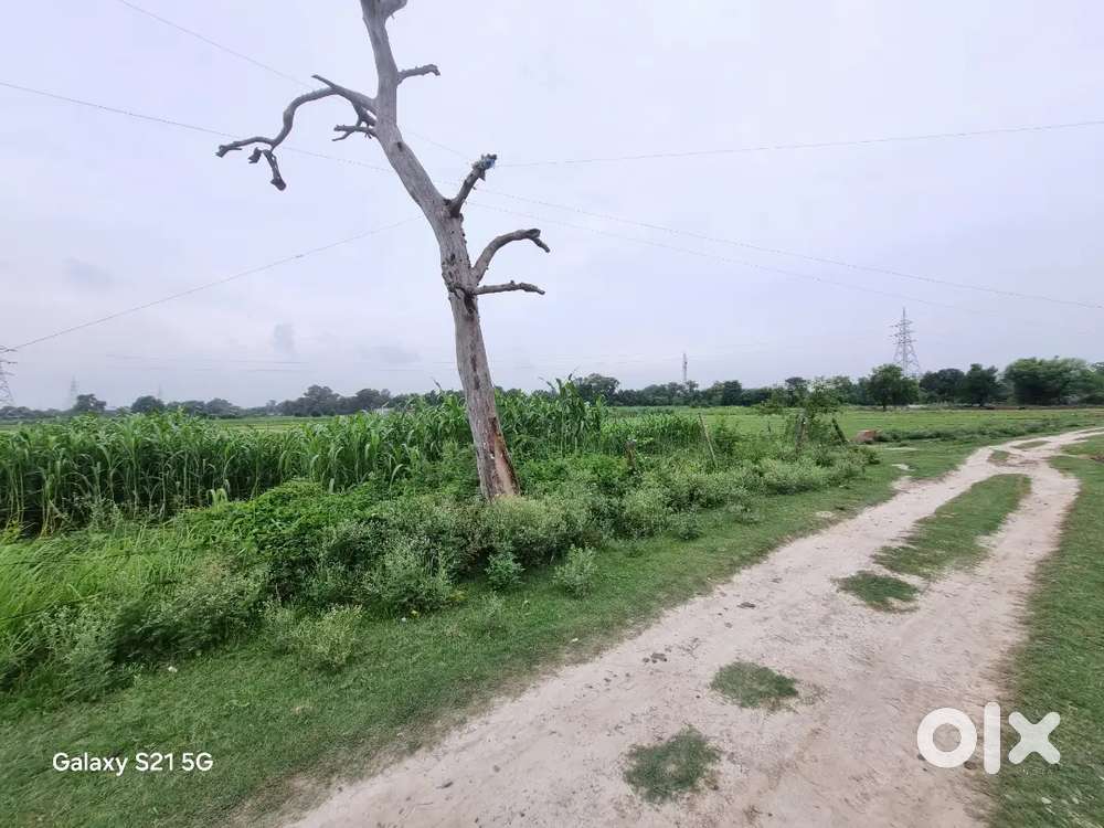 अयोध्या मे ं जमीन बिक्री के लिए उपलब्ध