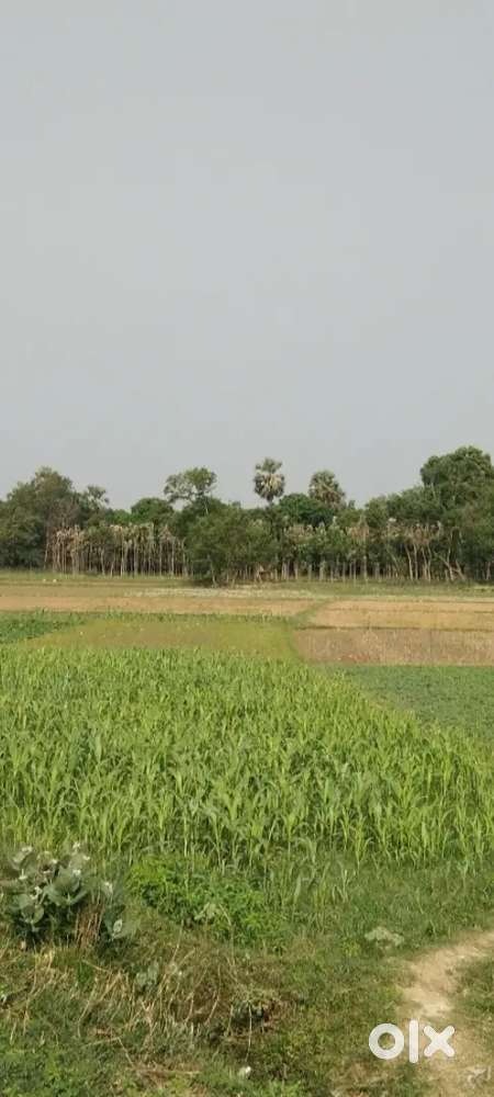 Urgent sale price 1850 per sq ft