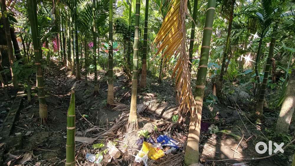 পালপাড়া স্টেশন থেকে মাত্র 1.2 কিমি দূরত্বে  পোনে 3 কাঠা জমি বিক্রি