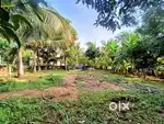 Eranellur (kechery ) 11 cent square plot for sale