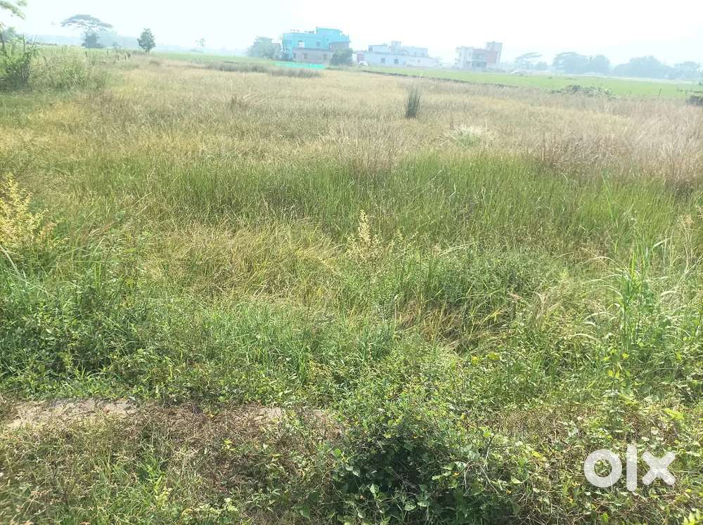Plot for sale in Bhubaneswar Retang investment plot guntha 450000