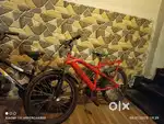 Two bicycles for kids
