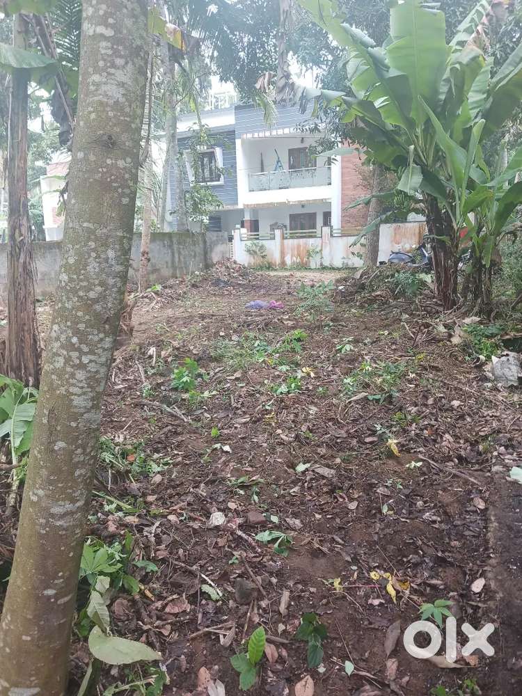 Plot near confident group flat kazhakkutam