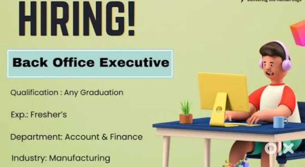 Back office executive