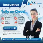 Tally on Cloud Server