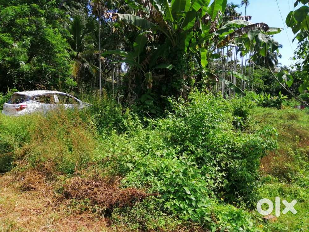 27 Cent Commercial Land for Sale at Mundayad, Kannur (NZ)
