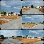 Your Vision, Home”