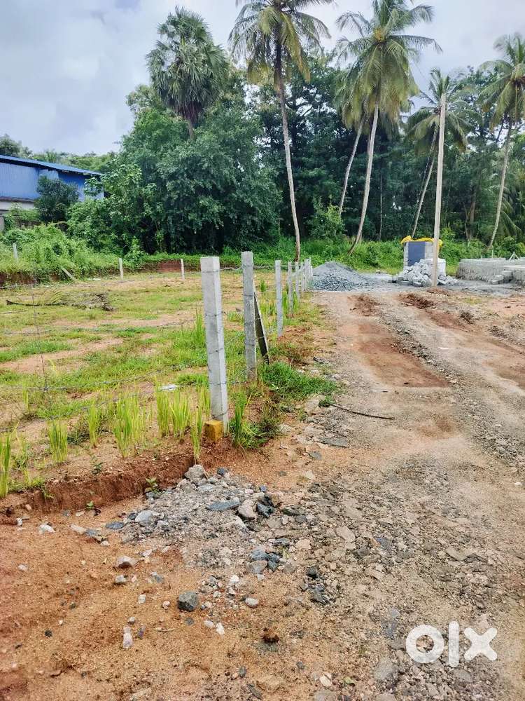 Plot 13 kms from palakkad