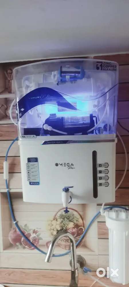 Only girls requirement