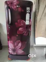 LG single door