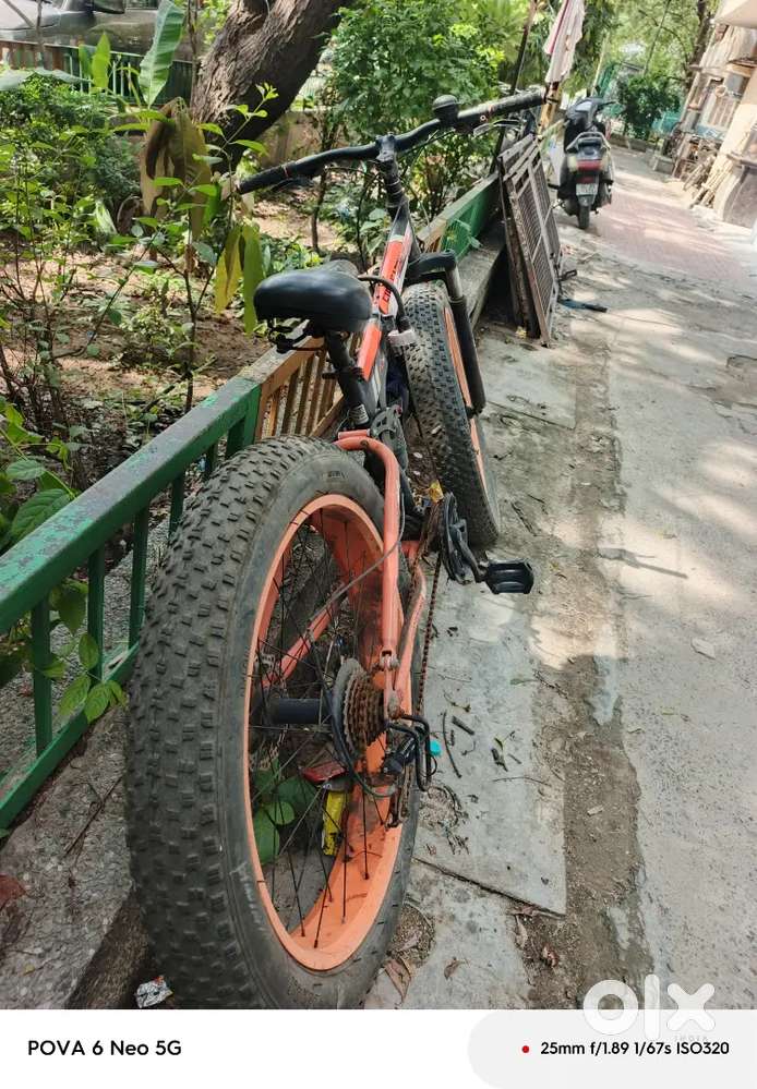 Fat bike bycicle