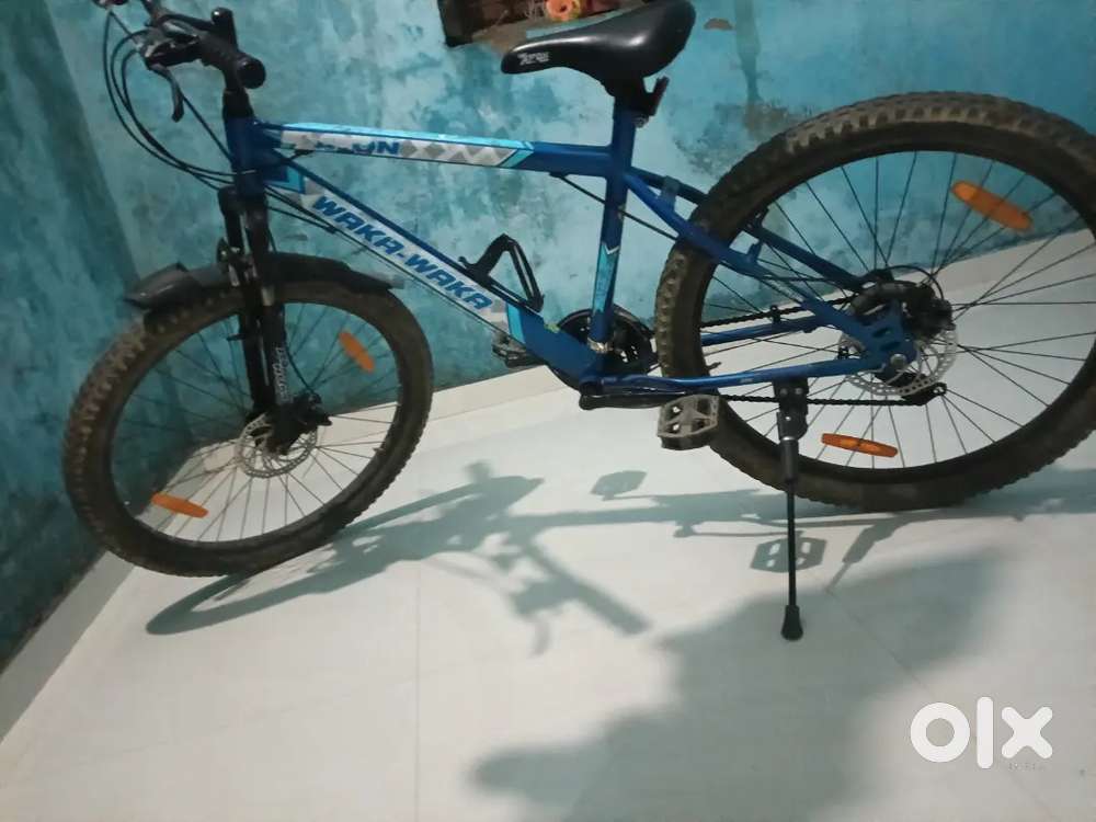 Avon cycle 21 speed dual disc brakes