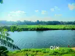 35 cent waterfront land or plot for sale in kalady,Airport,Angamaly