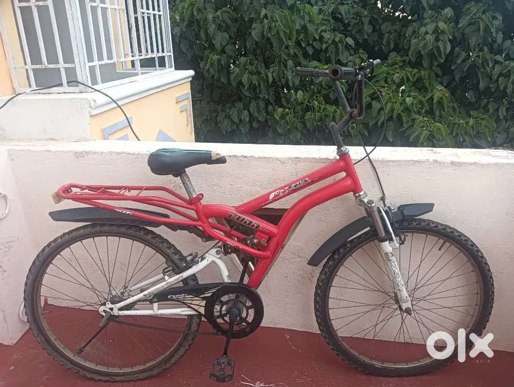 Stand out super cycle