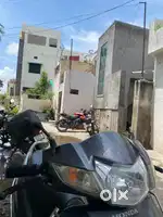 Best good quality viral for sell