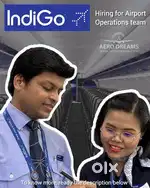 Job in indigo airlines 2025
