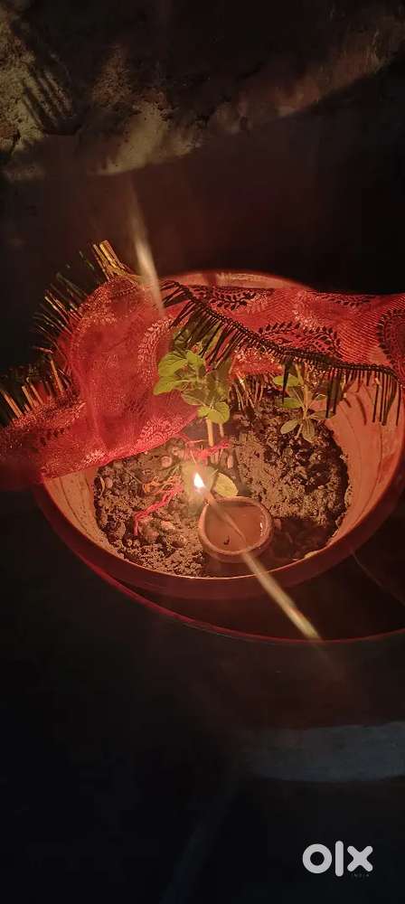 Best location plot for sell 94 lakh only