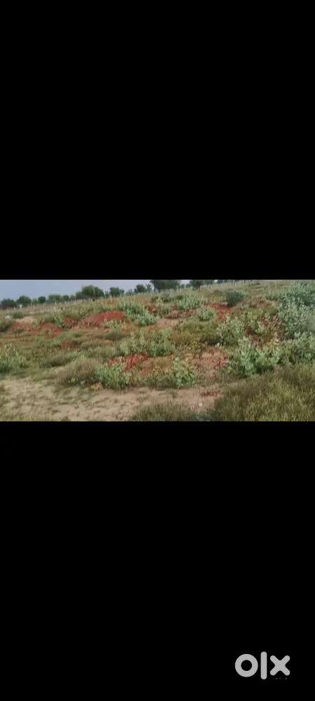 Tiyariya vatika plot