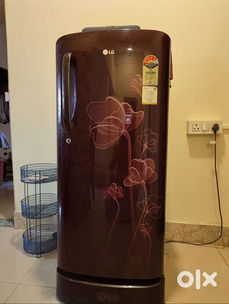 LG Fridge 9year old.