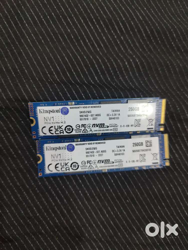 Kingston NVME SSD 250 GB Warranty