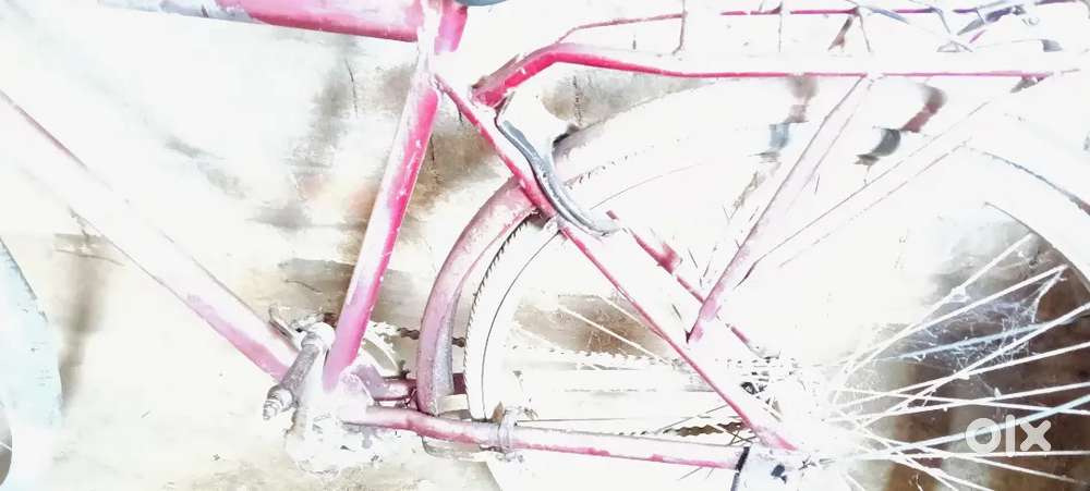 Polo power brand cycle