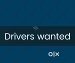 Wanted drivers  [ night/ day] for fruit/veg company