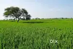 4 aekad jamin 50 lakh /aekad Baki moke pe kam ho jaye ga thora bot