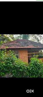 8 CENT LAND WITH A HOUSE WITH BEAUTIFUL SIGHT FOR SALE @WAYANAD
