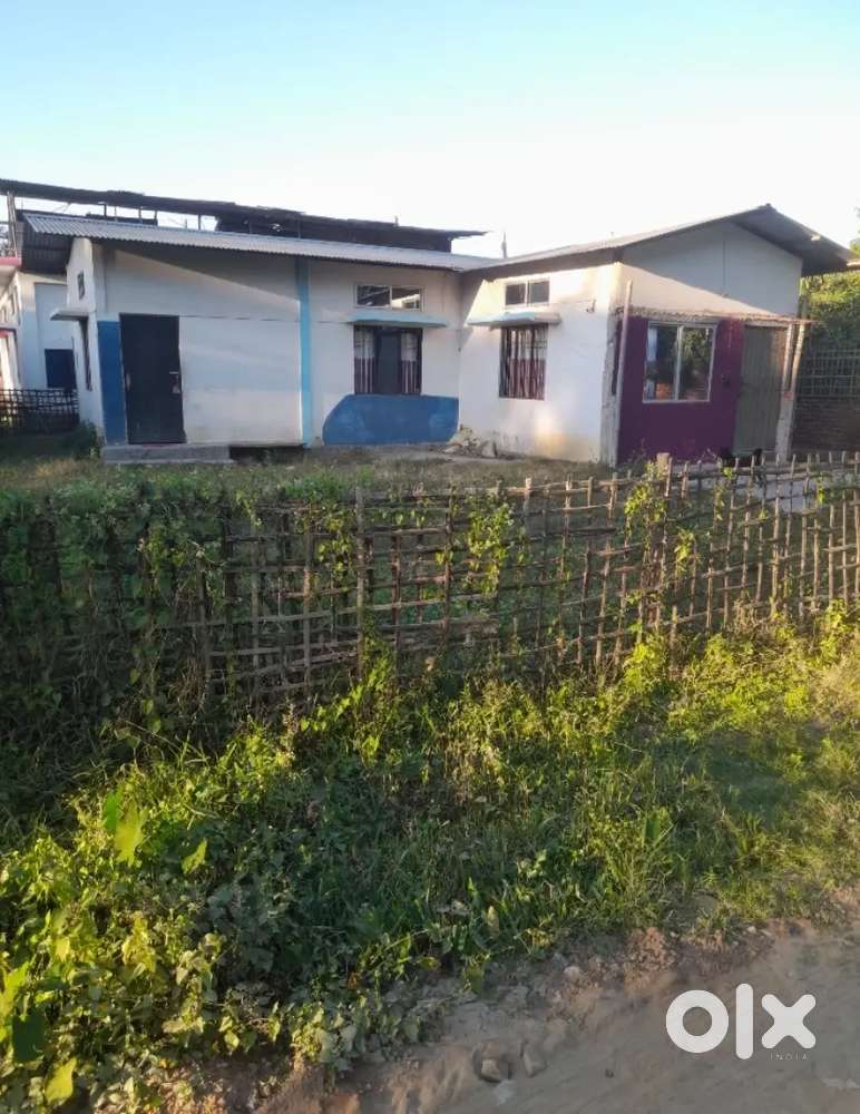 Plot with ready to move assam type house