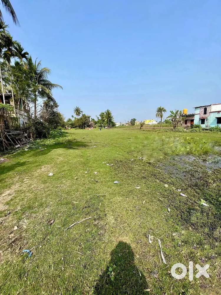 Land for sell in malancha, Naihati