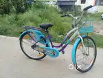 Ladies Cycle, Cycle, Bycycle, LADYBIRD, Hasel