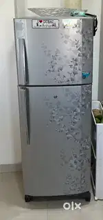 LG 2 Door Floral Refrigerator in Very Good Condition