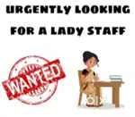 Wanted lady staff in building construction office