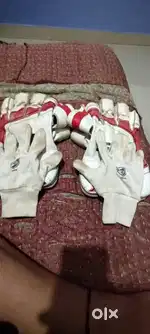 SF Wicket Keeping Gloves
