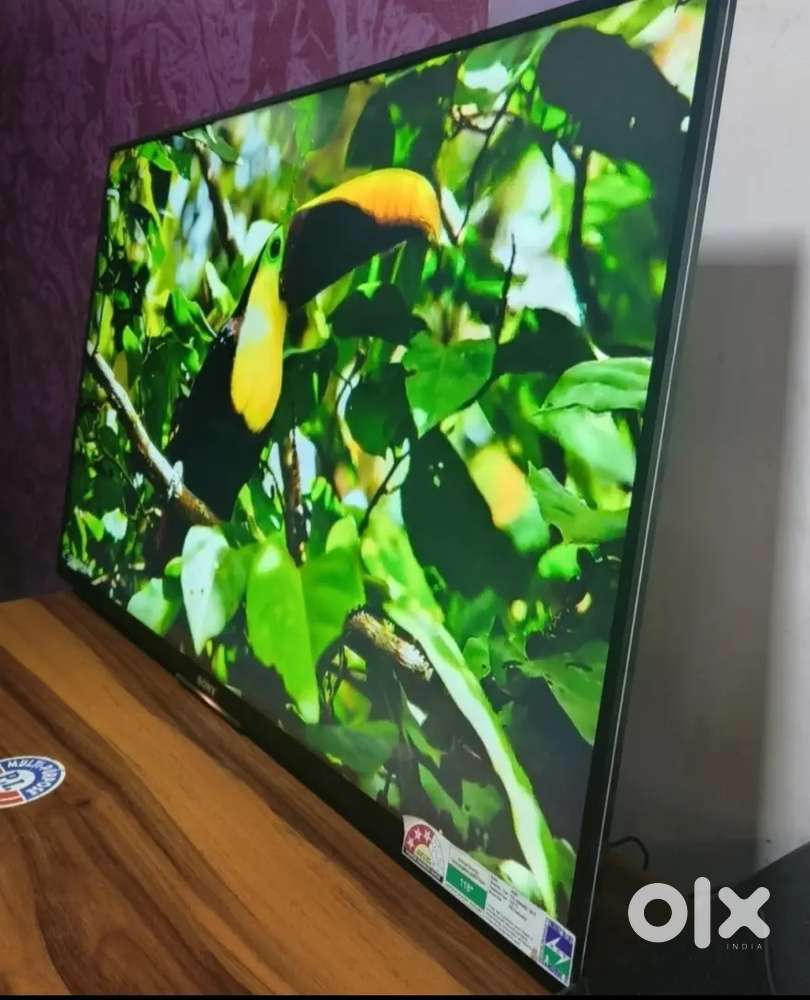 43 Google Android tv 2 years warranty cash on delivery