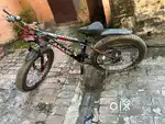 Canary bikecycle