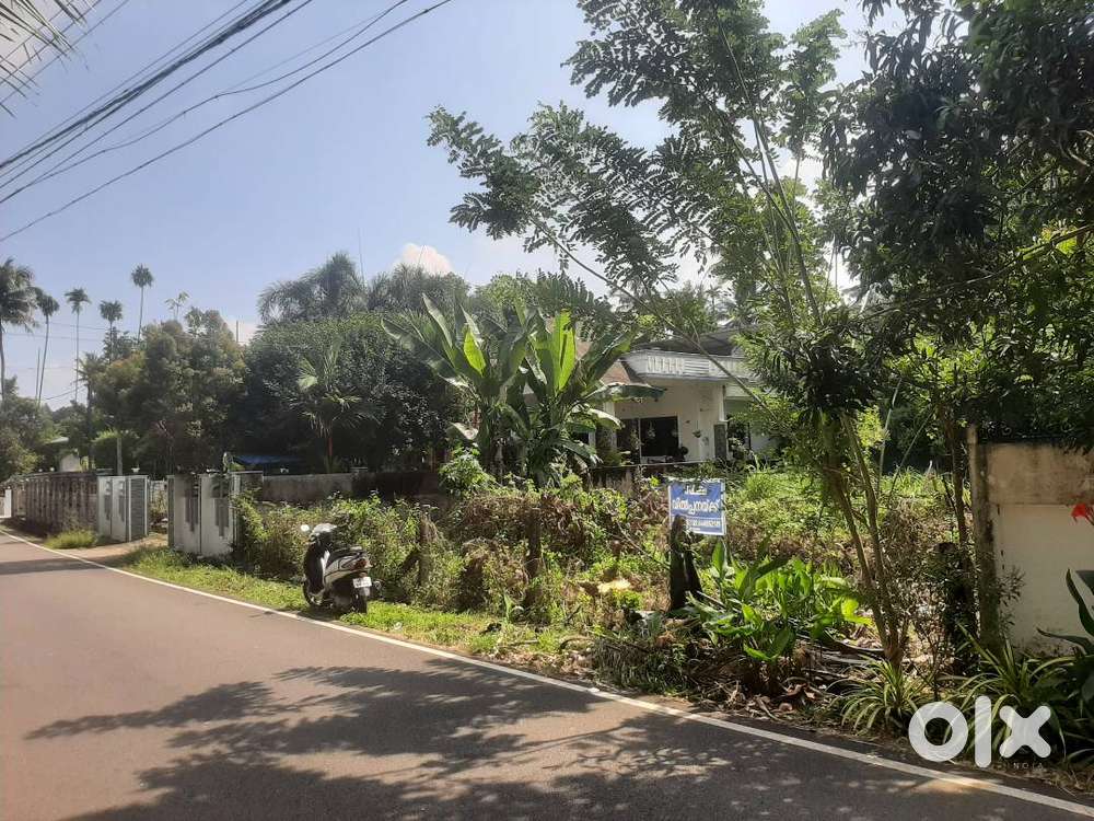 Two Residential House Plots for Sale Near Sanjo Nagar Church, Koratty