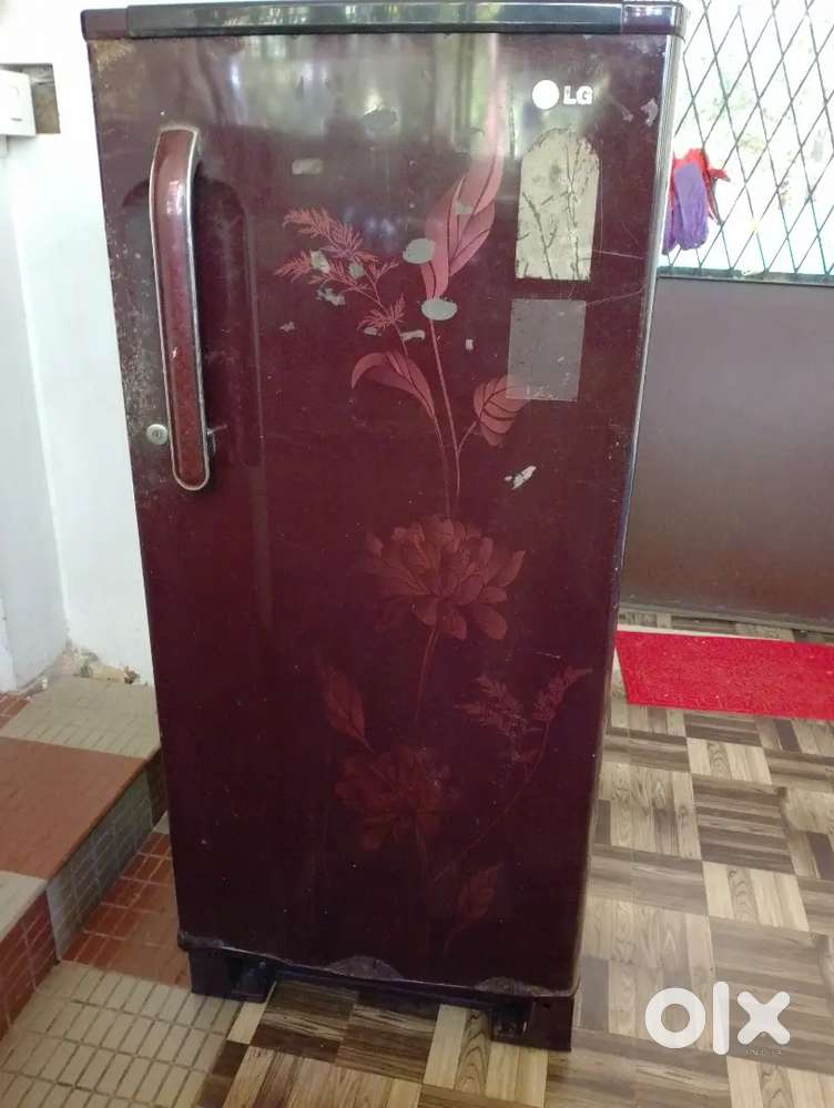 LG 5 star single door fridge