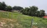 Plot for sell