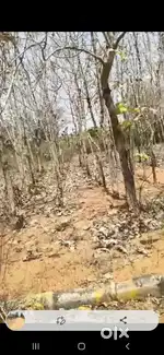 LRS paid Plots For sale in near kadthal